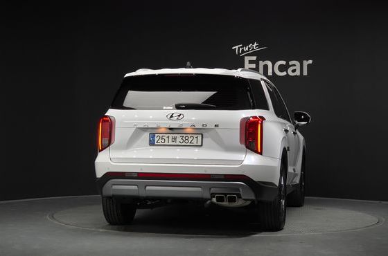 Hyundai Palisade Diesel 2.2 2WD Exclusive — пробег 31 265 км — фото 4 из 5