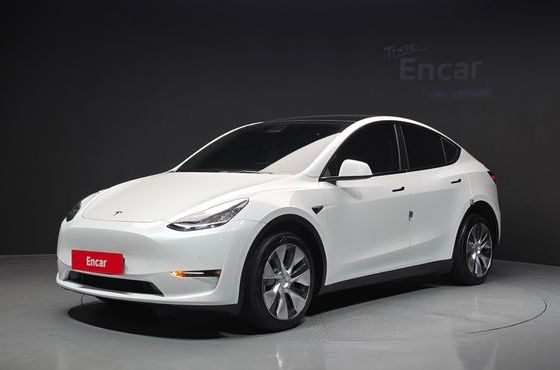 Tesla Model Y Long Range AWD — пробег 63 878 км — фото 1 из 5