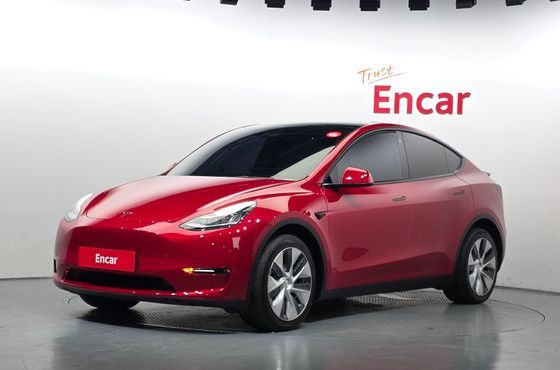Tesla Model Y Long Range AWD — пробег 53 841 км — фото 1 из 5