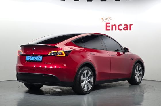Tesla Model Y Long Range AWD — пробег 53 841 км — фото 2 из 5