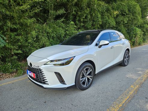 Lexus RX Premium — пробег 99 км — фото 1 из 5