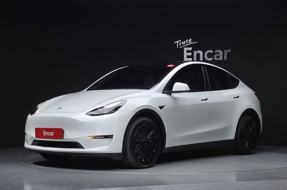 Tesla Model Y Long Range AWD — пробег 58 132 км — фото 1 из 5