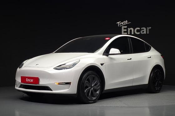 Tesla Model Y Long Range AWD — пробег 140 507 км — фото 1 из 5