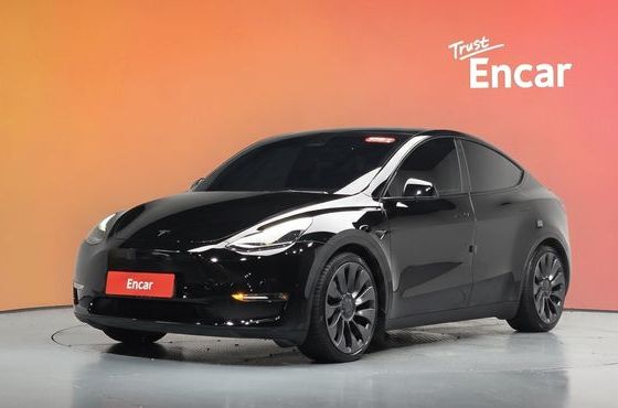 Tesla Model Y Performance AWD — пробег 80 945 км — фото 1 из 5