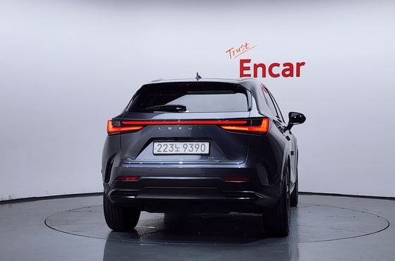 Lexus NX Premium — пробег 36 097 км — фото 4 из 5