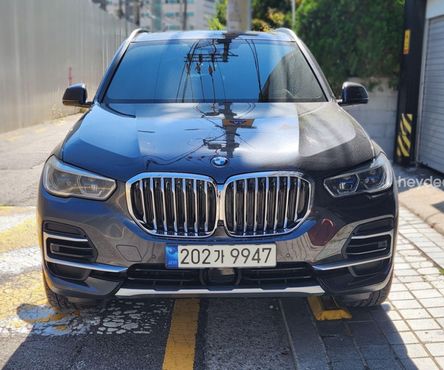 BMW X5 xDrive 40i xLine — пробег 53 523 км — фото 1 из 5