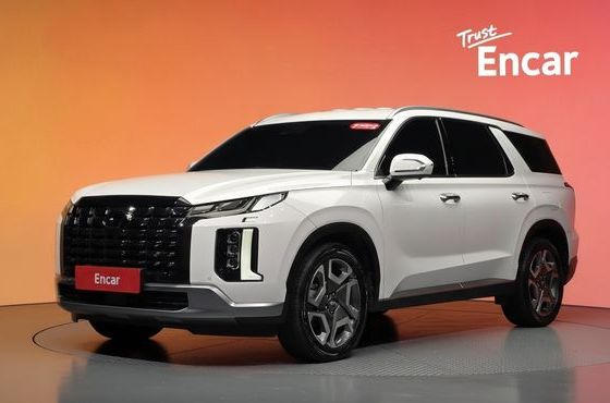 Hyundai Palisade Diesel 2.2 2WD Le Blanc — пробег 45 796 км — фото 1 из 5