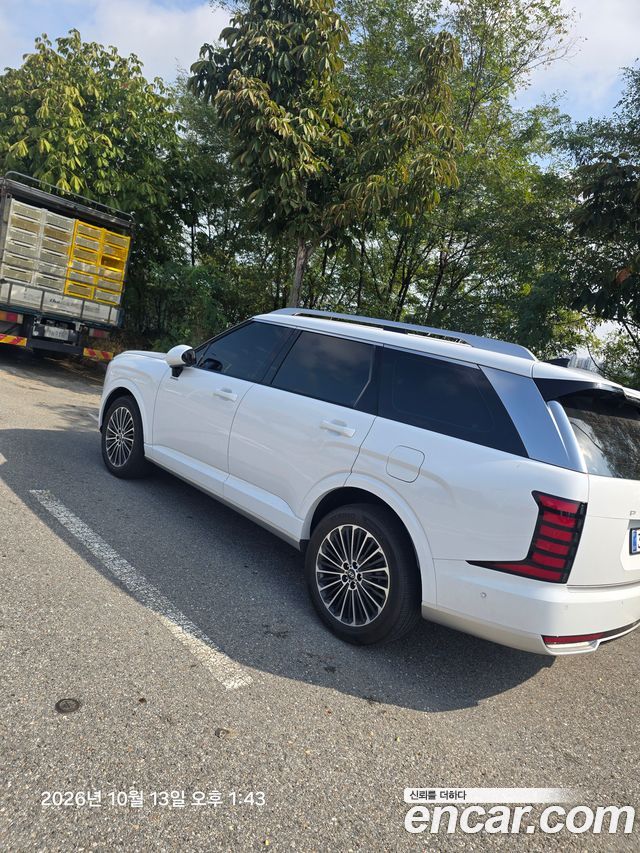 Hyundai Palisade HEV 2.5T 4WD 7-Seater Calligraphy — пробег 12 000 км — фото 2 из 5