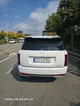 Hyundai Palisade HEV 2.5T 4WD 7-Seater Calligraphy — пробег 12 000 км — фото 4 из 5