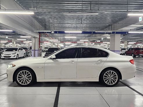 BMW 5-Series 520d xDrive Luxury — пробег 166 558 км — фото 2 из 5