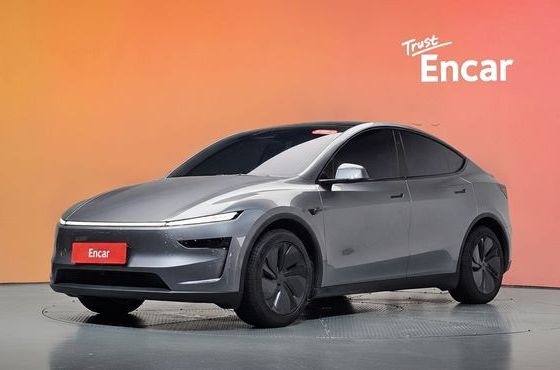 Tesla Model Y Long Range AWD — пробег 15 878 км — фото 1 из 5
