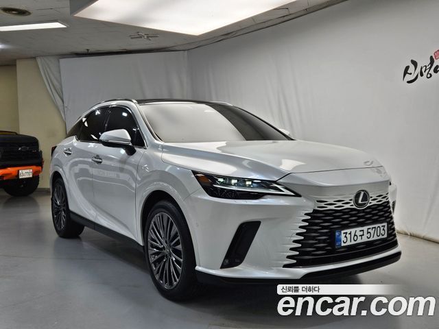 Lexus RX Luxury — пробег 3 343 км — фото 1 из 5