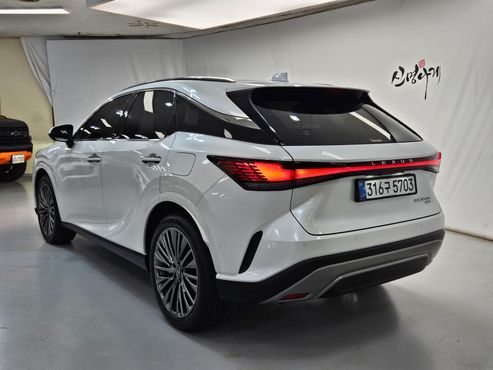 Lexus RX Luxury — пробег 3 343 км — фото 4 из 5
