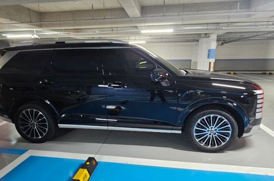 Hyundai Palisade HEV 2.5T 4WD 7-Seater Calligraphy — пробег 7 060 км — фото 4 из 5