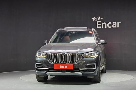 BMW X5 xDrive 30d xLine — пробег 72 816 км — фото 3 из 5