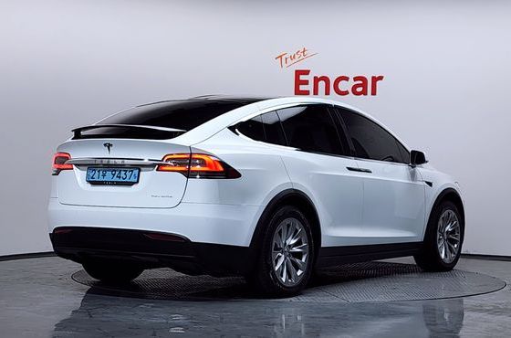 Tesla Model X Long Range — пробег 68 707 км — фото 2 из 5