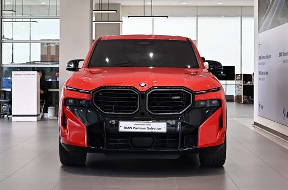 BMW XM 4.4 — пробег 24 902 км — фото 3 из 5