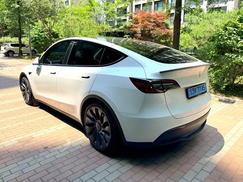 Tesla Model Y Performance AWD — пробег 29 500 км — фото 3 из 5