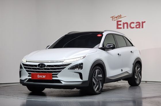Hyundai Nexo Premium — пробег 67 539 км — фото 1 из 5