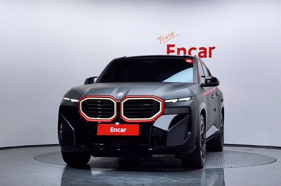 BMW XM 4.4 — пробег 19 227 км — фото 3 из 5
