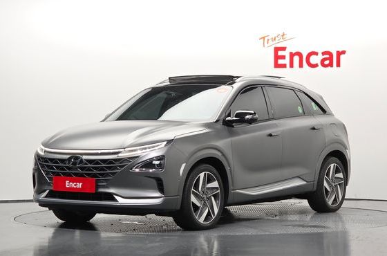 Hyundai Nexo Premium — пробег 125 905 км — фото 1 из 5