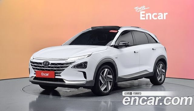 Hyundai Nexo Premium — пробег 84 344 км — фото 1 из 5