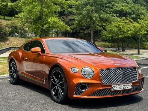 Bentley Continental 6.0 GT — пробег 59 000 км — фото 1 из 5