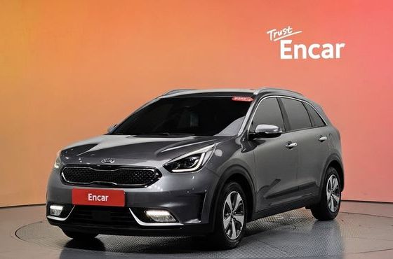 Kia Niro Noblesse — пробег 195 325 км — фото 1 из 5
