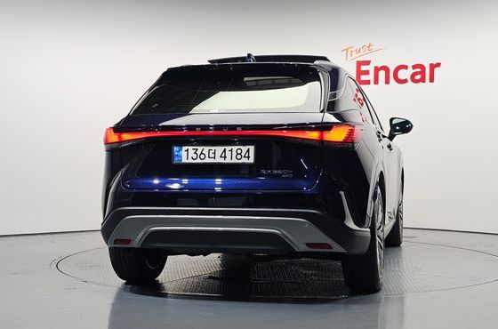 Lexus RX Luxury — пробег 18 385 км — фото 4 из 5