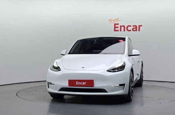 Tesla Model Y Performance AWD — пробег 60 849 км — фото 3 из 5