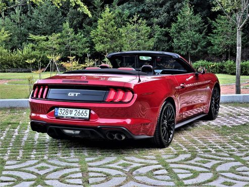 Ford Mustang GT Convertible — пробег 30 418 км — фото 2 из 5