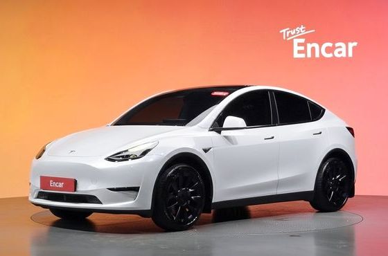 Tesla Model Y Long Range AWD — пробег 23 182 км — фото 1 из 5