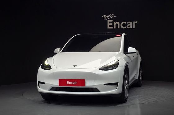 Tesla Model Y RWD — пробег 157 838 км — фото 3 из 5