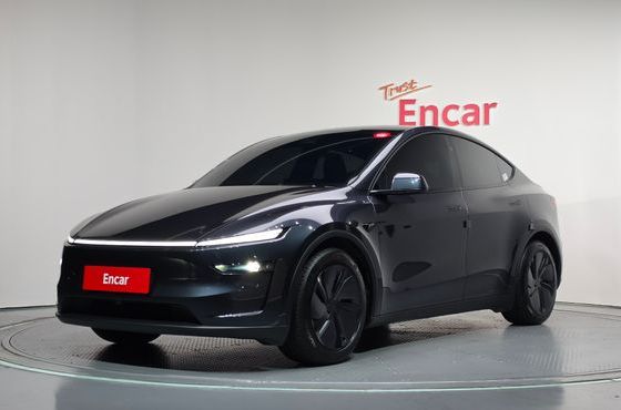 Tesla Model Y Premium Long Range AWD — пробег 13 770 км — фото 1 из 5
