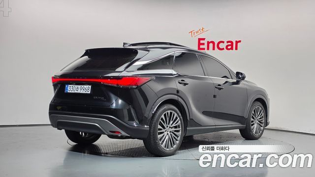 Lexus RX Luxury — пробег 24 349 км — фото 2 из 5