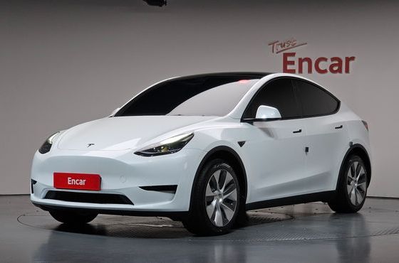 Tesla Model Y RWD — пробег 41 791 км — фото 1 из 5