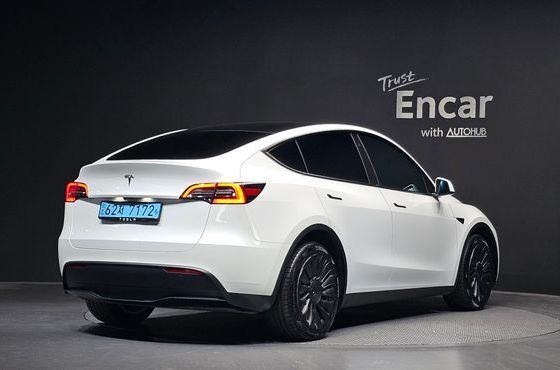 Tesla Model Y Long Range AWD — пробег 117 135 км — фото 2 из 5