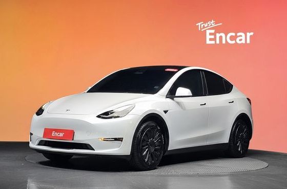 Tesla Model Y Long Range AWD — пробег 117 135 км — фото 1 из 5