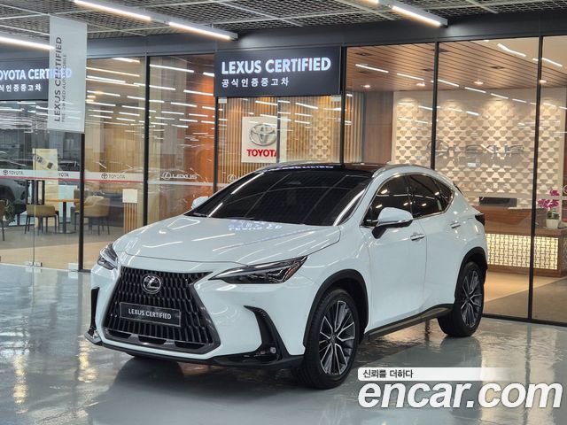 Lexus NX Luxury — пробег 4 144 км — фото 1 из 5