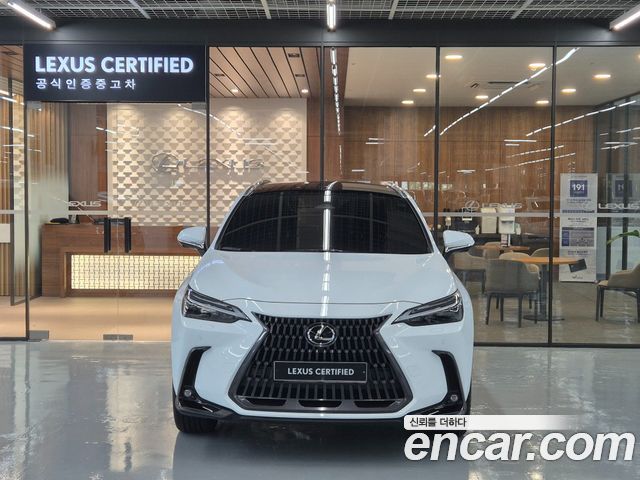 Lexus NX Luxury — пробег 4 144 км — фото 3 из 5