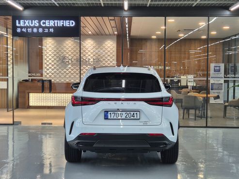 Lexus NX Luxury — пробег 4 144 км — фото 4 из 5