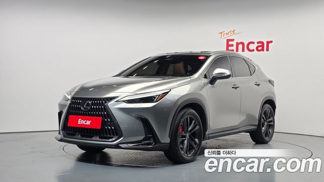 Lexus NX Premium — пробег 17 314 км — фото 1 из 5