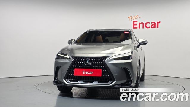 Lexus NX Premium — пробег 17 314 км — фото 3 из 5