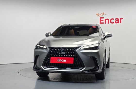 Lexus NX Premium — пробег 17 314 км — фото 3 из 5