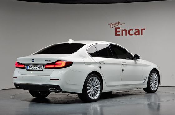 BMW 5-Series 530i Luxury — пробег 33 985 км — фото 2 из 5