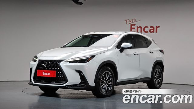 Lexus NX Premium — пробег 48 341 км — фото 1 из 5