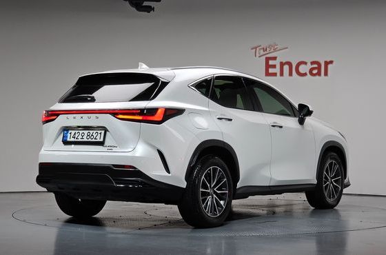 Lexus NX Premium — пробег 48 341 км — фото 2 из 5