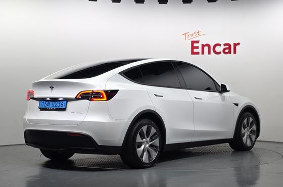 Tesla Model Y Long Range AWD — пробег 70 133 км — фото 2 из 5