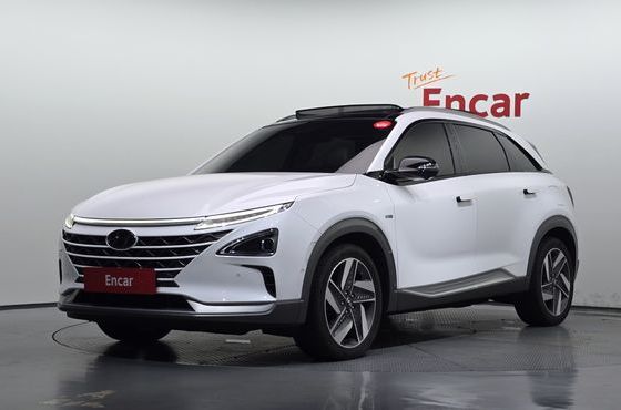 Hyundai Nexo Premium — пробег 117 751 км — фото 1 из 5
