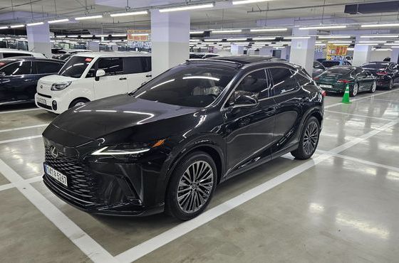 Lexus RX Luxury — пробег 20 км — фото 1 из 5